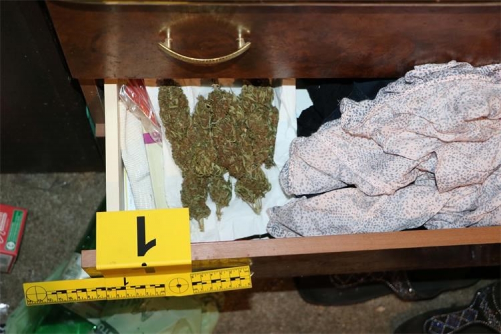 Policija pretragom kuće u Cavtatu koju koristi 49-godi&scaron;nji hrvatski državljanin prona&scaron;la marihuanu